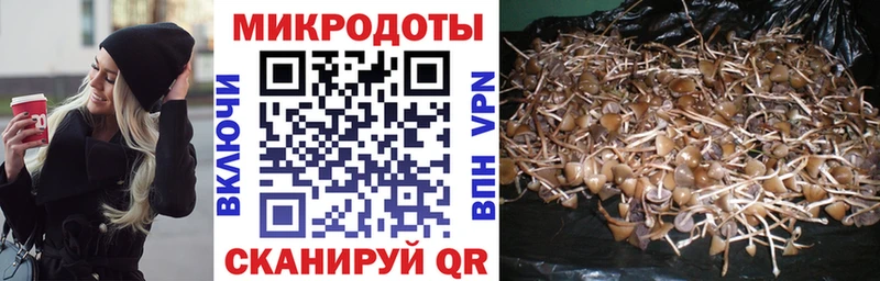 Псилоцибиновые грибы прущие грибы  цена   Лыткарино 