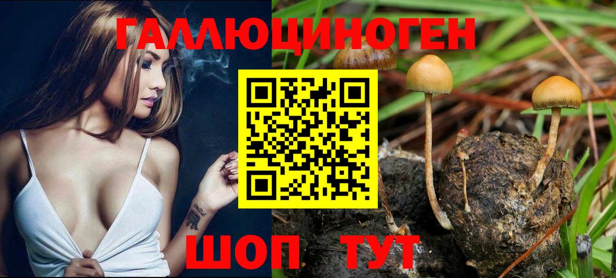 Галлюциногенные грибы Magic Shrooms  Галлюциногенные грибы ЛСД  Вход с VPN  Лыткарино 